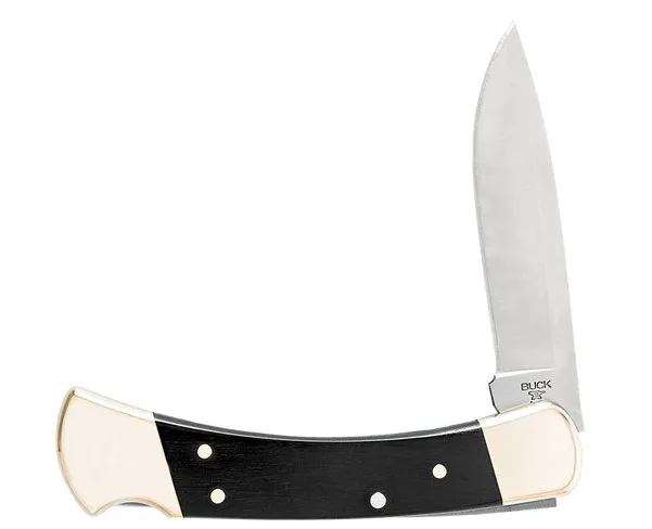 Buck Knives - Folding Hunter Knife