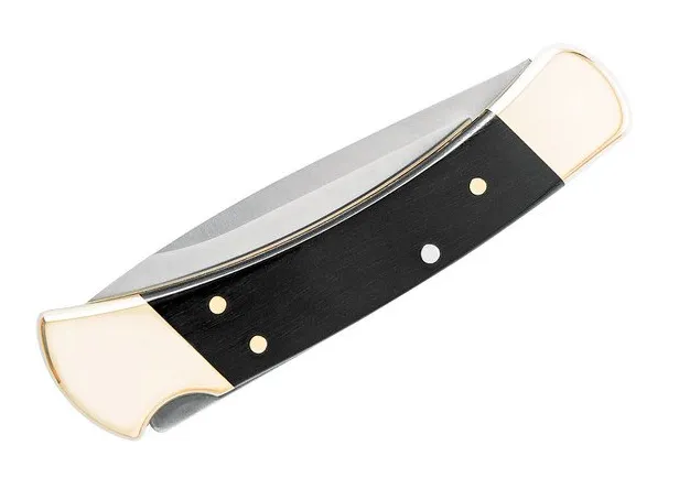 Buck Knives - Folding Hunter Knife
