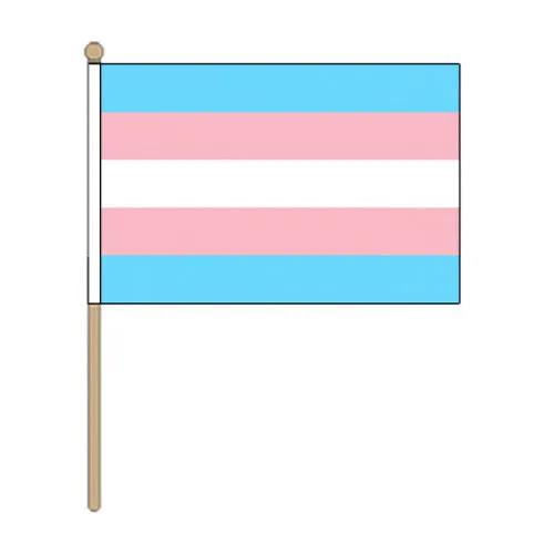 Transgender Pride Hand Held Flag (22.5cm x 15cm)